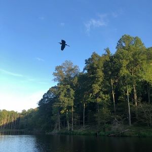 Meet your Posher, Faith